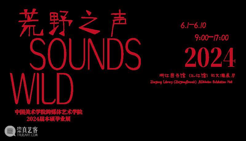 展览现场 (二) | 荒野之声Sounds Wild 视频资讯 液态 Liquid 现场 荒野 Sounds Wild 叶御风 影像 装置 动态 图像 波音 崇真艺客